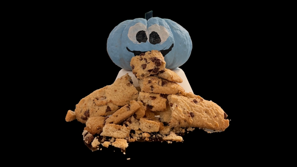 cookie monsterkin